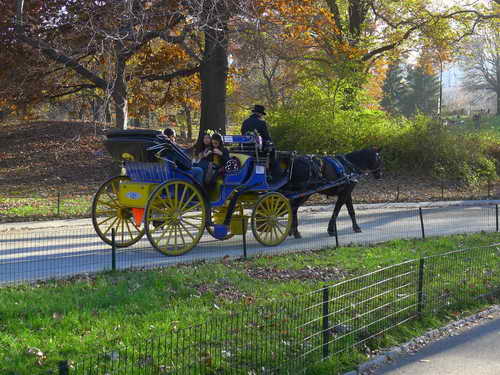 NYC_2012-11-22 14-45-00_P1070571
